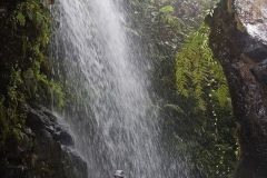 Waterfall_Tahiti-